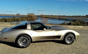 goodtimers-Chevrolet-Corvette-1982-15
