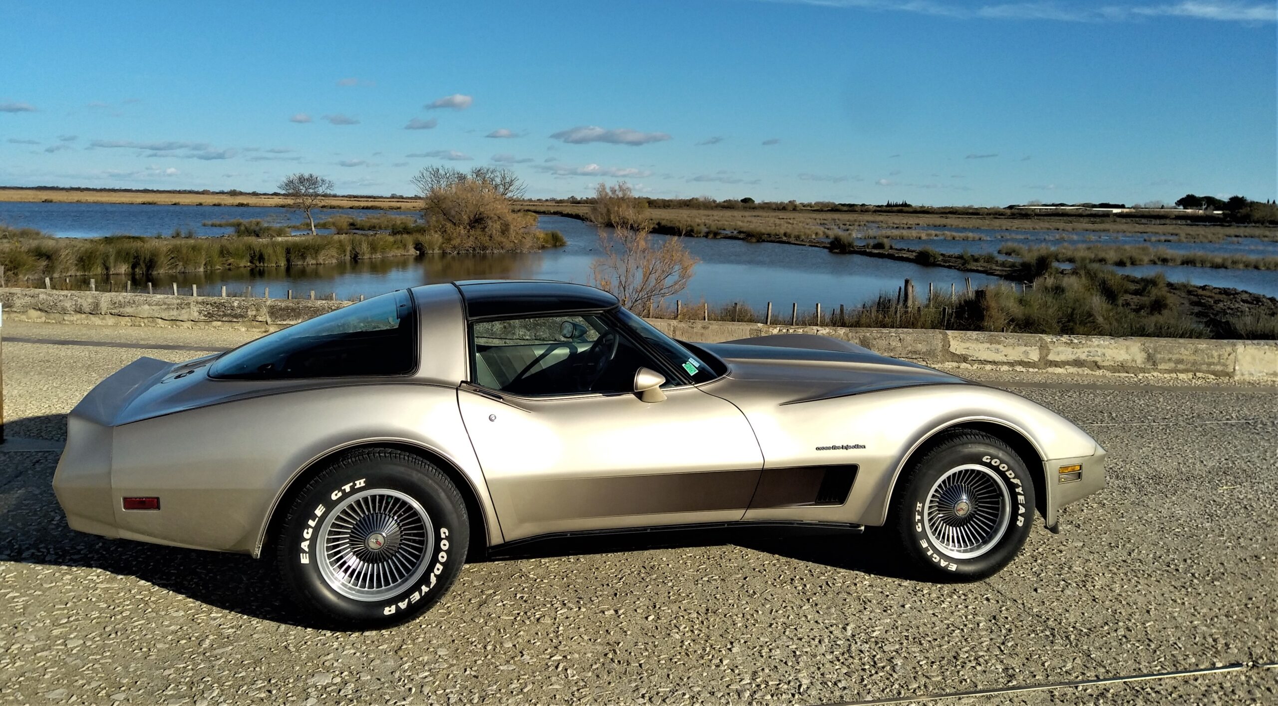 goodtimers-Chevrolet-Corvette-1982-15