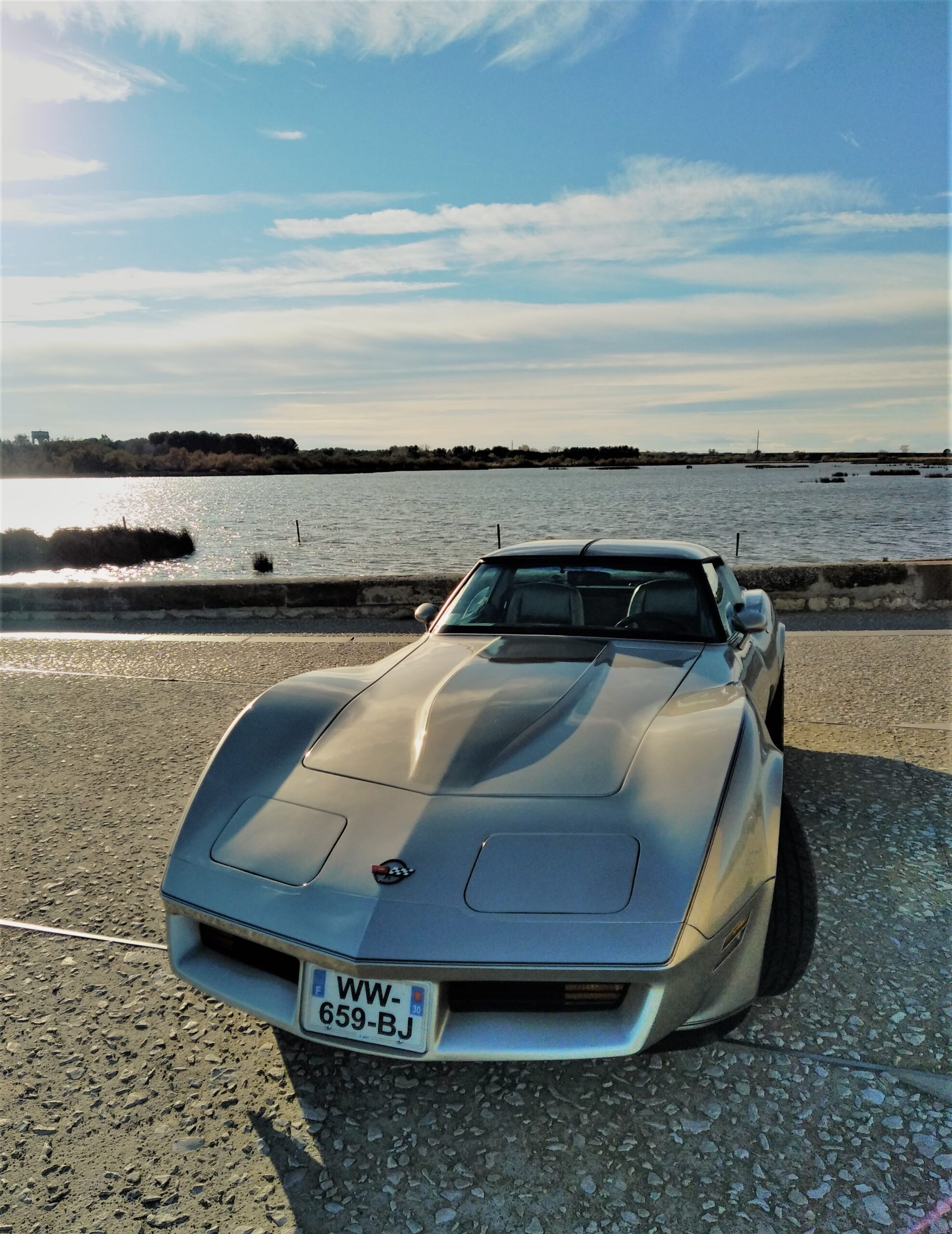 goodtimers-Chevrolet-Corvette-1982-16