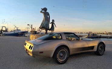 goodtimers-Chevrolet-Corvette-1982-2