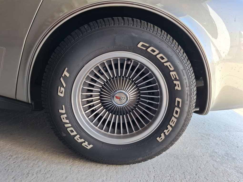 goodtimers-Chevrolet-Corvette-1982-9