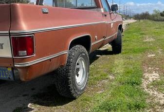 1000-1978-brown-1