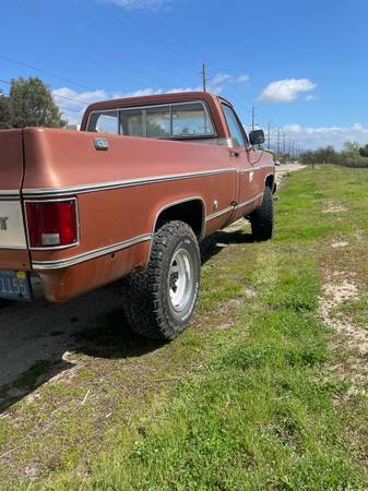 1000-1978-brown-1