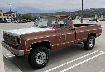 1000-1978-brown-12