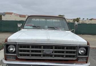 1000-1978-brown-13