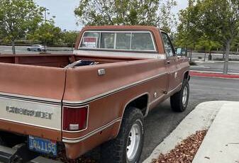 1000-1978-brown-15