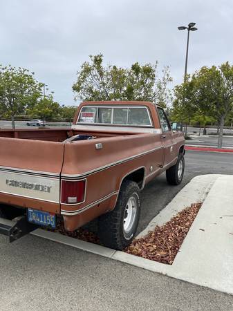 1000-1978-brown-15