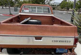 1000-1978-brown-16