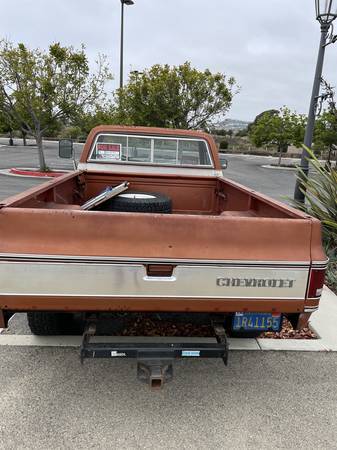 1000-1978-brown-16