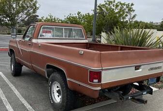 1000-1978-brown-3