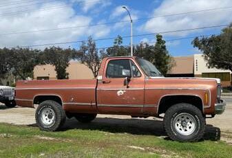 1000-1978-brown-4