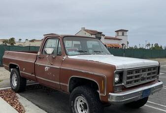 1000-1978-brown-5