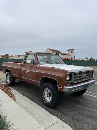 1000-1978-brown-5