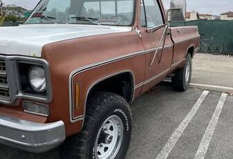 1000-1978-brown-7