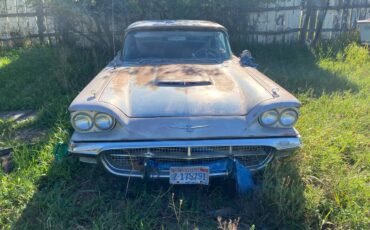 1960s-ford-t-bird-1964-1