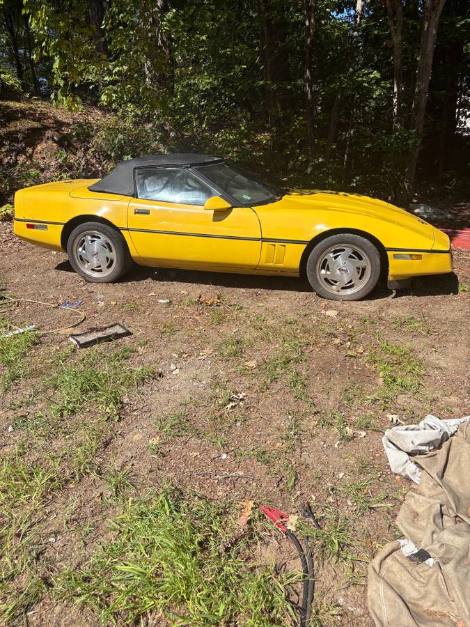 1986-1988-yellow