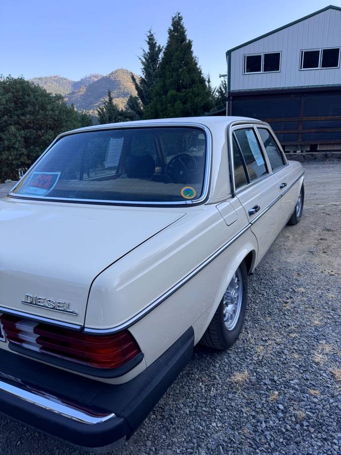 240d-diesel-1981-3