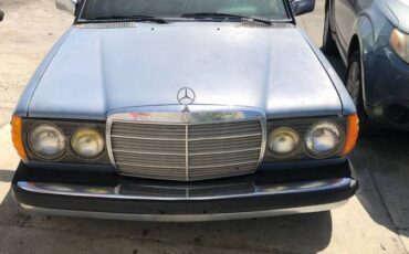300-td-diesel-1980-blue-8