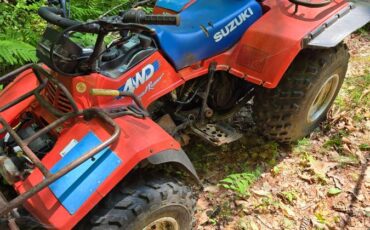 4wd-suzuki-quad-runner-1988-5