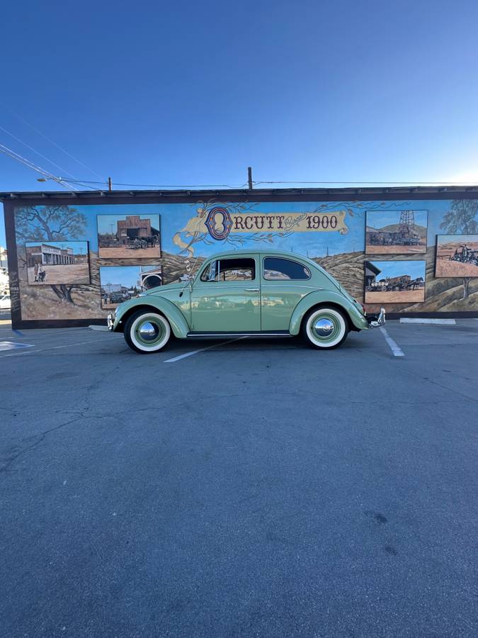 64-vw-bettle-1964-green-1