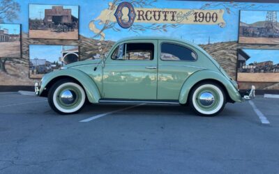 64 vw bettle 1964