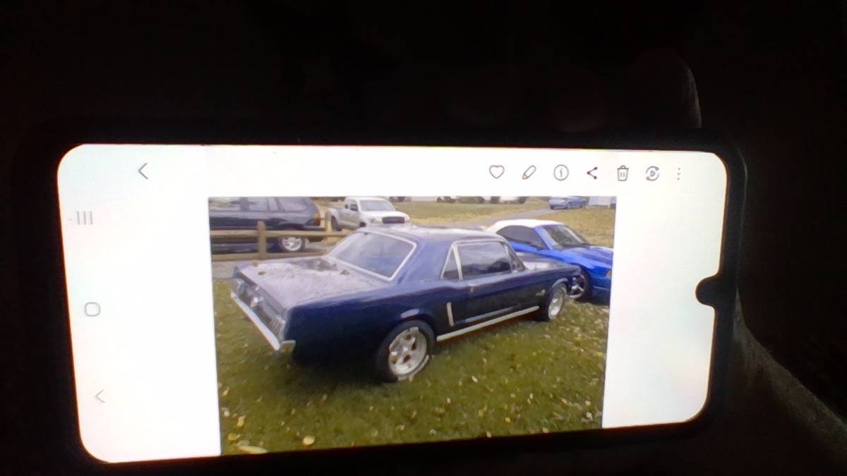 65-mustang-1965-blue-3