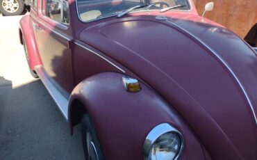 67-vw-beetle-1967