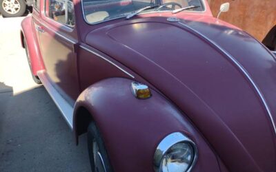 67 vw beetle 1967