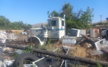 76-diesel-1976-white