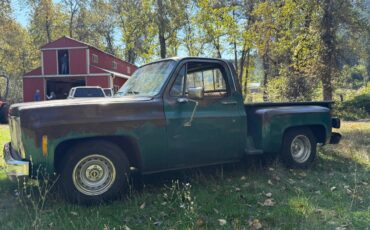 79-chevy-c10-1979-green-1