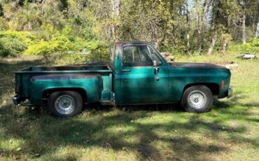 79-chevy-c10-1979-green-2