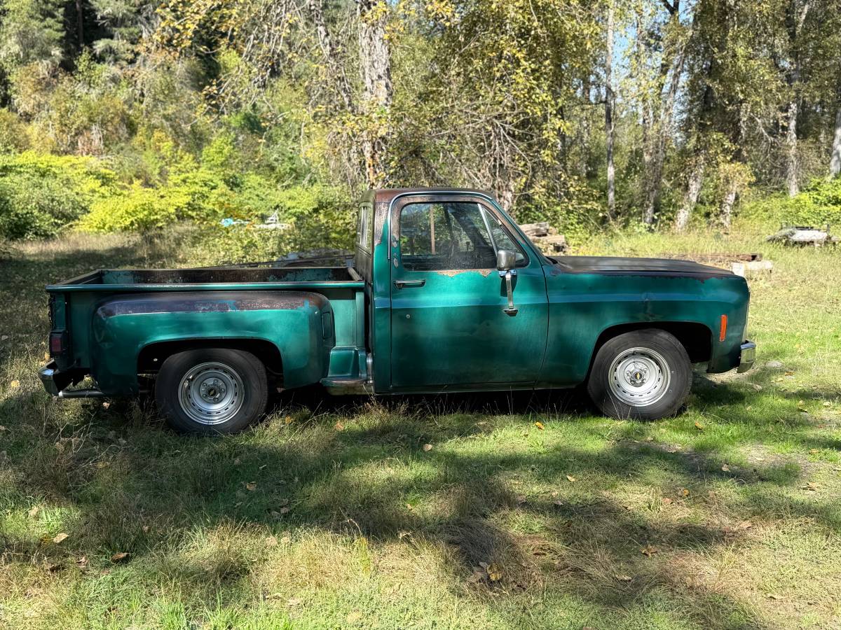 79-chevy-c10-1979-green-2