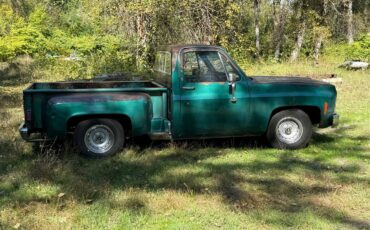 79-chevy-c10-1979-green-3