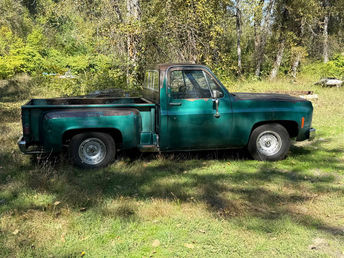 79-chevy-c10-1979-green-3
