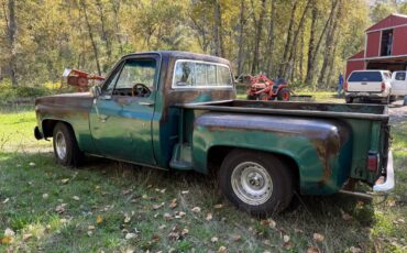 79-chevy-c10-1979-green