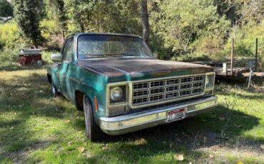 79-chevy-c10-1979-green-4