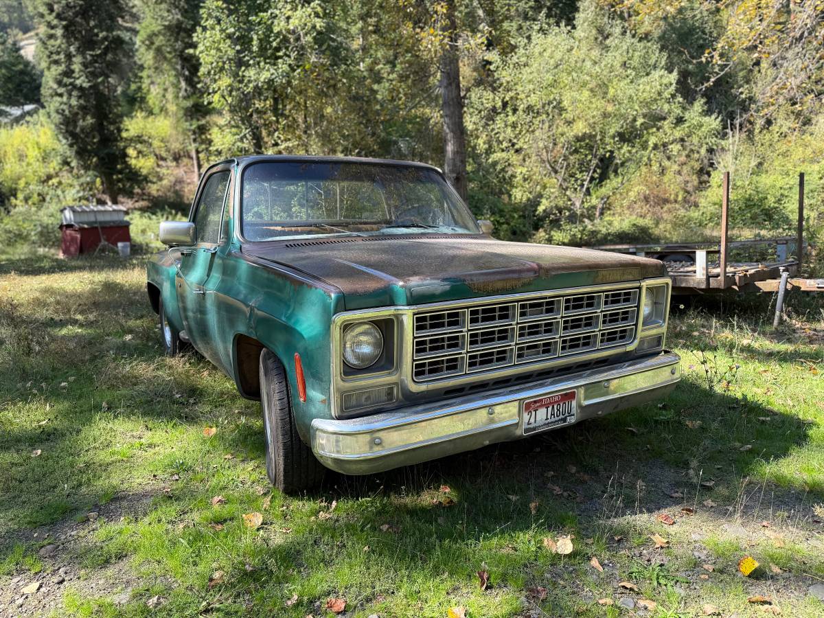79-chevy-c10-1979-green-4
