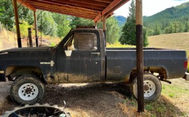 81-chevy-truck-1981-1