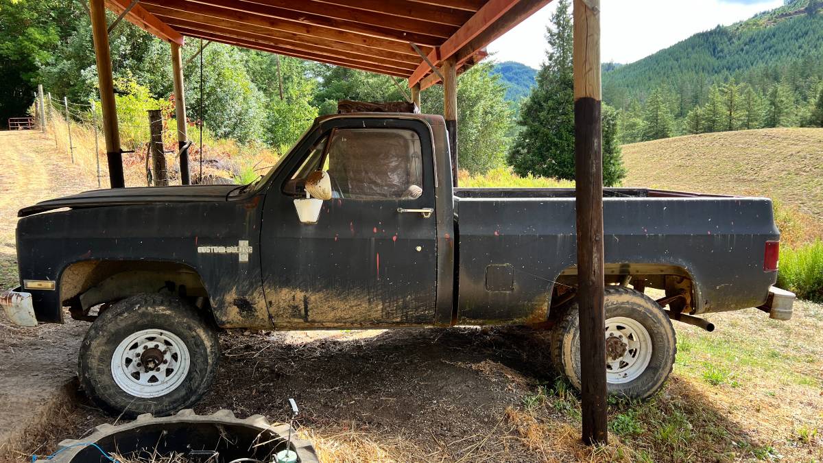 81-chevy-truck-1981-1