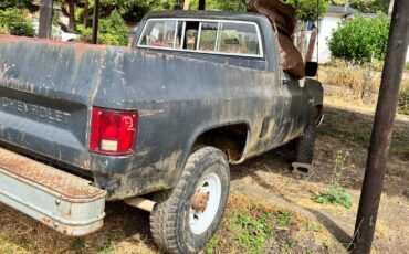 81-chevy-truck-1981-12