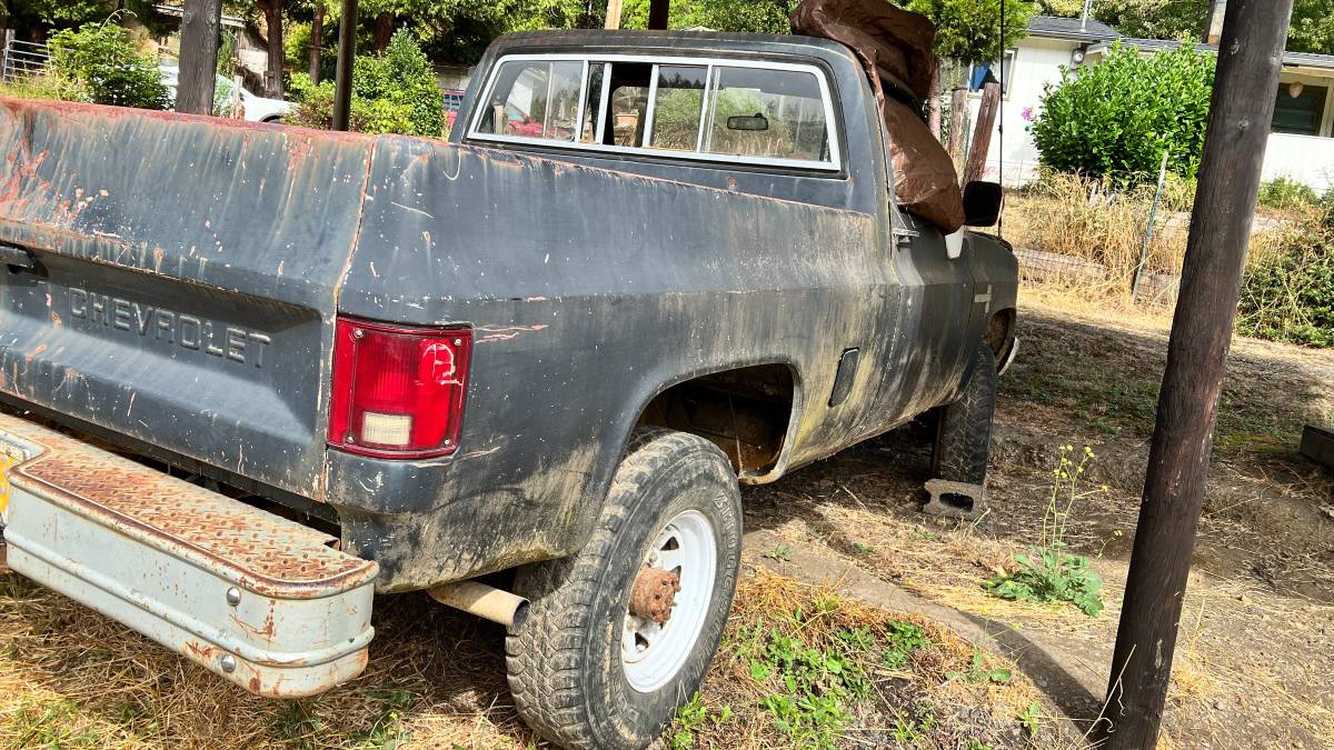 81-chevy-truck-1981-12