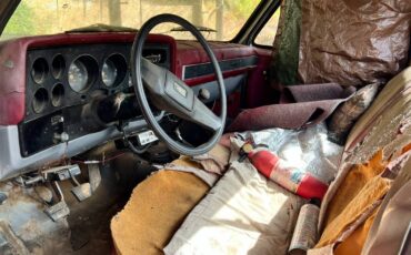 81-chevy-truck-1981-2