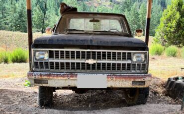 81-chevy-truck-1981
