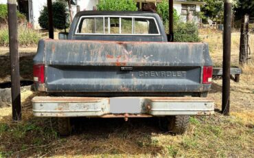 81-chevy-truck-1981-4