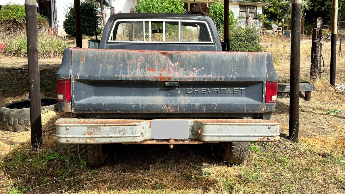81-chevy-truck-1981-4
