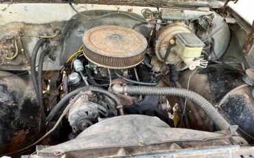 81-chevy-truck-1981-5