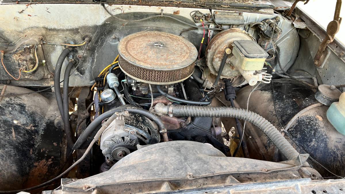 81-chevy-truck-1981-5