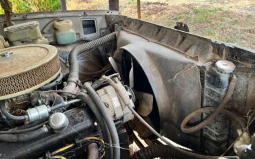 81-chevy-truck-1981-7
