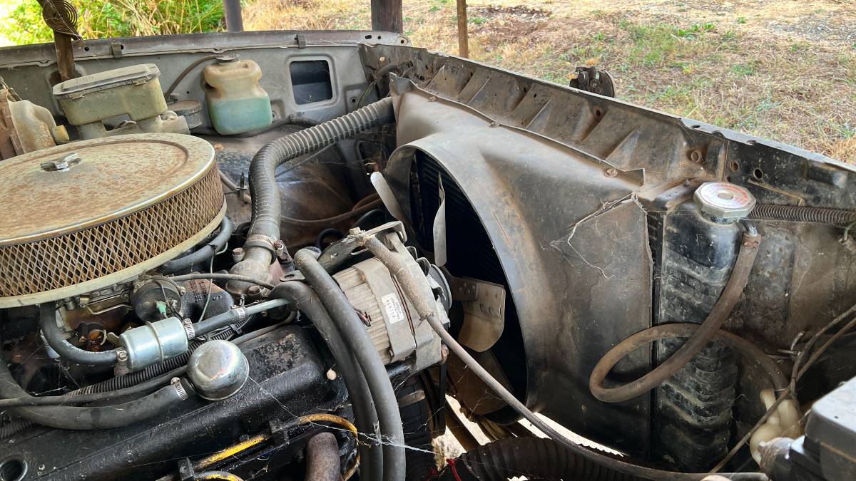 81-chevy-truck-1981-7