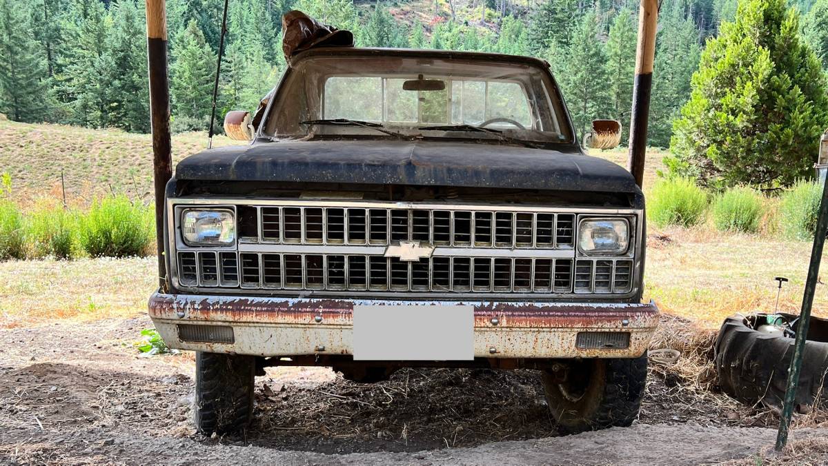 81-chevy-truck-1981
